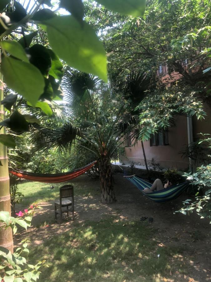 Tara Guesthouse - Sauraha,Chitwan Exterior photo