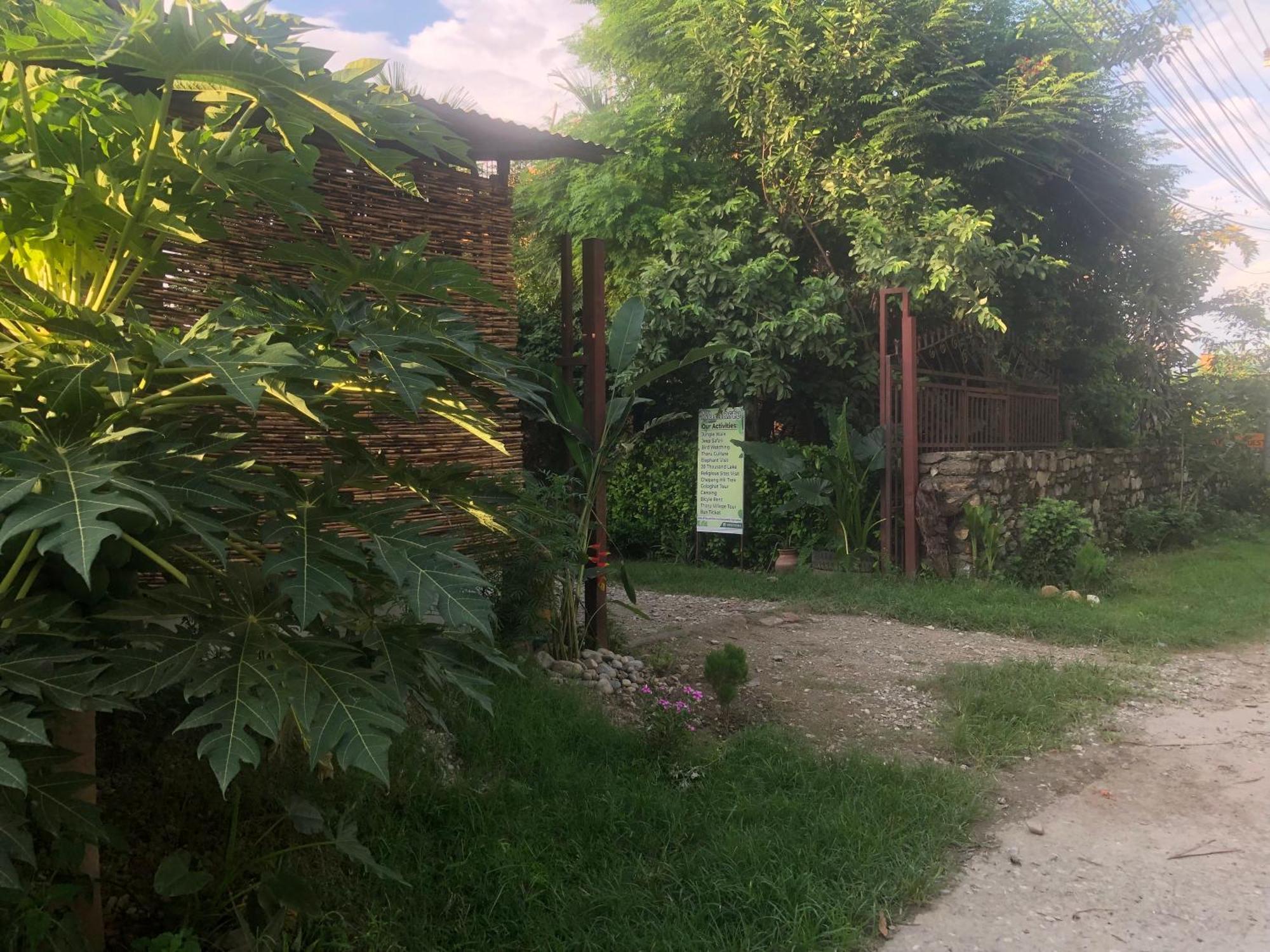 Tara Guesthouse - Sauraha,Chitwan Exterior photo